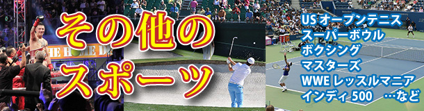 その他のスポーツ